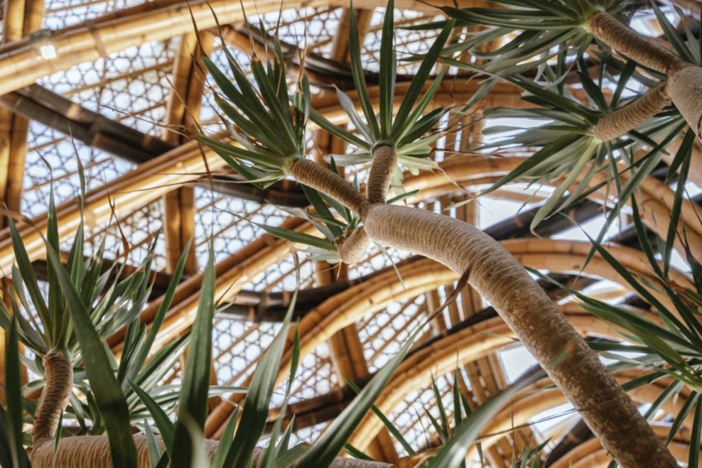 Close up of bamboo architecture within Restaurant 369
