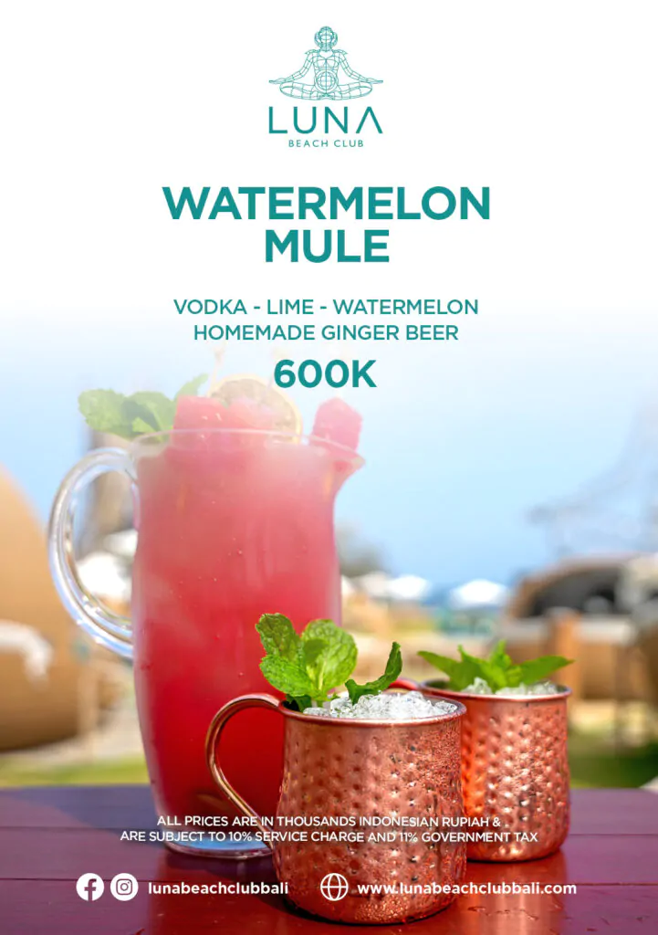 Watermelon Mule